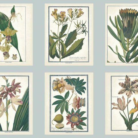 AF1930 Botany Sure Strip Wallpaper - wallcoveringsmart