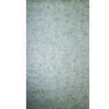 76037 Plain Concrete Textured Mint Green Metallic Textured Wallpaper
