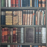 WM93480901 Bookshelf wallpaper antique vintage books brown book shelves - wallcoveringsmart