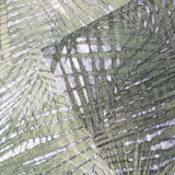 Z44850 Palm Leaves Leaf Tropical Green Grey Lamborghini Wallpaper - wallcoveringsmart