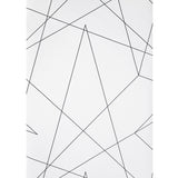 WM980117 WM Triangle Geometric lines black white modern 3d Wallpaper