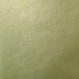 225031 Contemporary Wallpaper Foil Gold Silver Metallic Plain non-woven