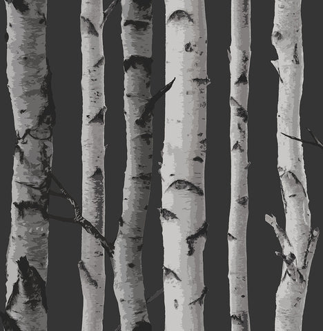 2900-31052 Brewster Distinctive Black Birch Tree Wallpaper