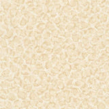 34902-4 Vasmara Beige Cream Off-white Wallpaper - wallcoveringsmart