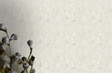 34496-4 Les Etoiles De La Mer Gray Lilac Wallpaper - wallcoveringsmart