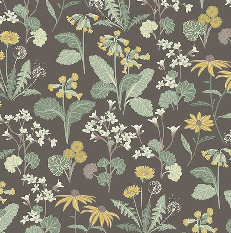 4080-92133 Magdalena Charcoal Dandelion Wallpaper