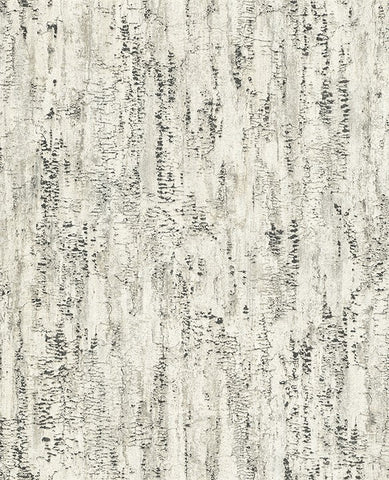 4096-554045 Colm Charcoal Birch Textured Wallpaper