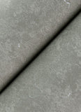 4105-86647 Pliny Light Grey Distressed Texture Wallpaper