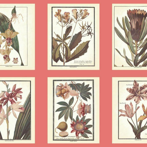 AF1931 Botany Sure Strip Wallpaper - wallcoveringsmart