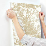 SW7511 Tree Silhouette Side Wallpaper - wallcoveringsmart