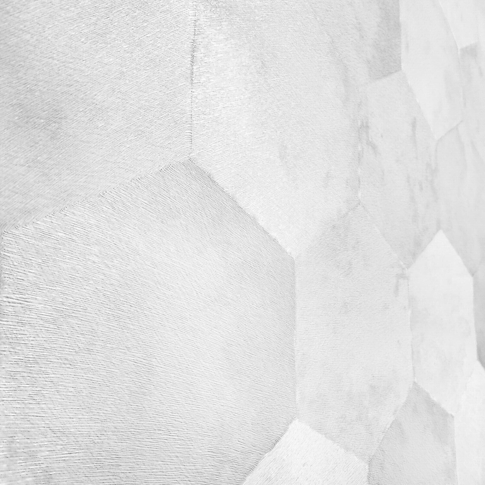 Z80002 Philipp Plein Contemporary Geometric Hexagon white 