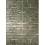 Z80033 Geo Hexagon brass silver metallic trellis lines wallpaper textured alligator 3D