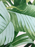 FD24136 Palm leaves Banana Leaf White Green Tropical Wallpaper