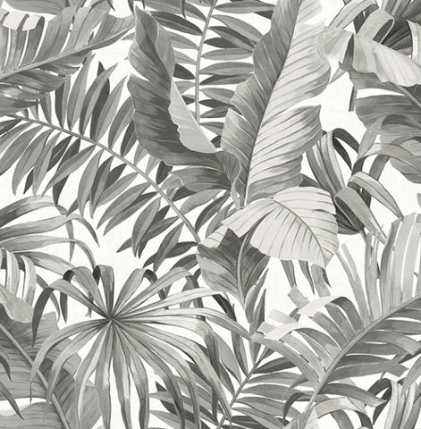 Black Grey Palm Banana Leaf Wallpaper