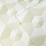 WM3050601 3D illusion tan beige off white geometric hexagon Wallpaper 