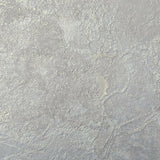 Z72027 Champagne Gray pearl gold faux concrete plaster Wallpaper