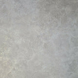 Z72027 Champagne Gray pearl gold faux concrete plaster Wallpaper