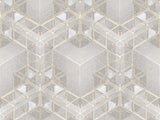 Z90062 LAMBORGHINI 2 Geometric Gray 3D illusion Textured Panel