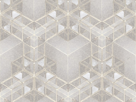 Z90062 LAMBORGHINI 2 Geometric Gray 3D illusion Textured Panel
