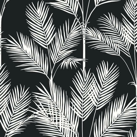 CV4409 York King Palm Silhouette Black Wallpaper