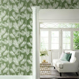 CV4411 York King Palm Silhouette Fern Green Wallpaper