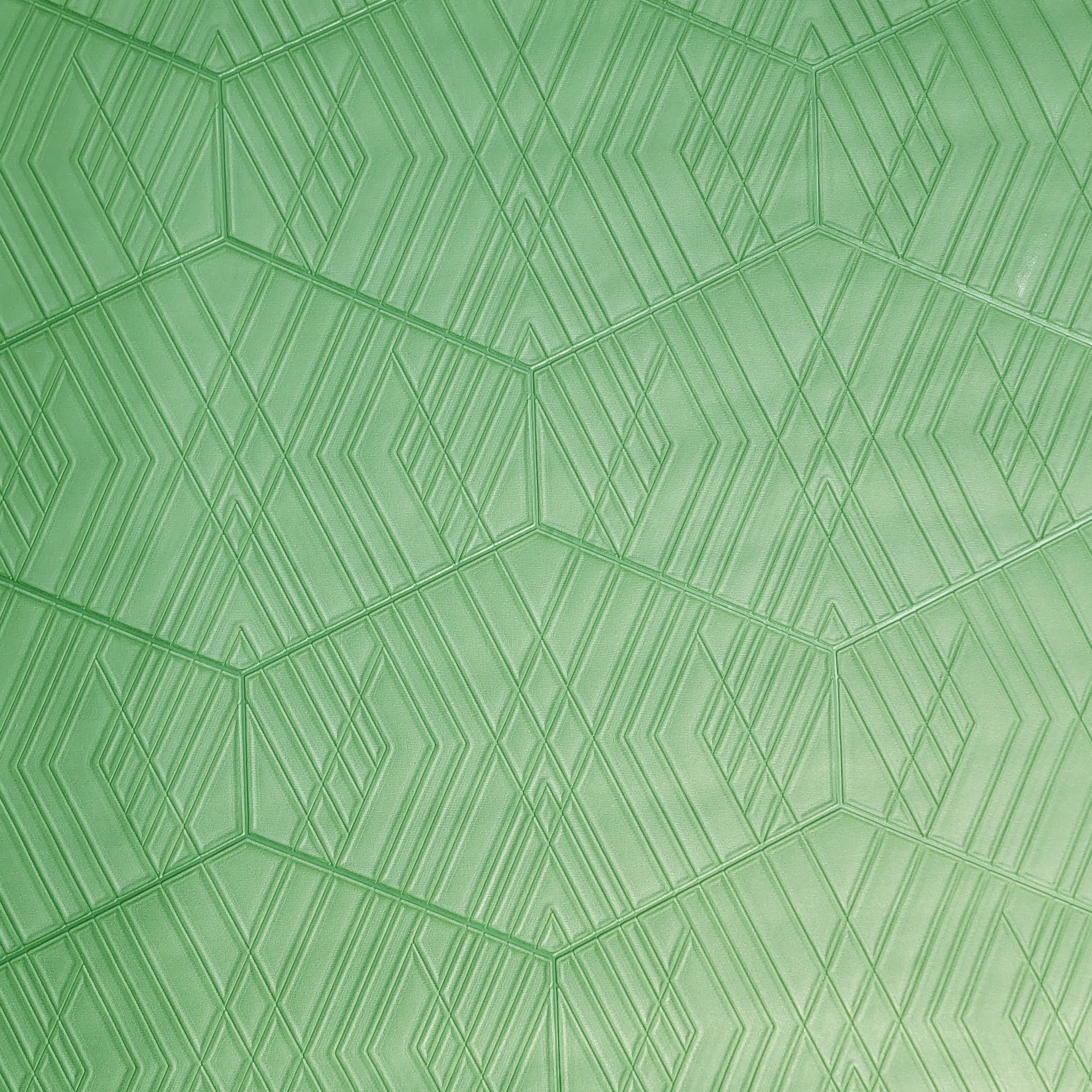 100+] Sage Green Laptop Wallpapers | Wallpapers.com