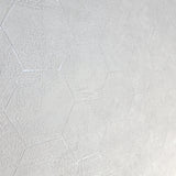 Z90040 LAMBORGHINI 2 Hexagon Geometric Textured gray off white Wallpaper