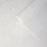 Z90046 LAMBORGHINI 2 Hexagon Geometric Textured Cream Wallpaper