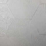 Z90040 LAMBORGHINI 2 Hexagon Geometric Textured gray off white Wallpaper